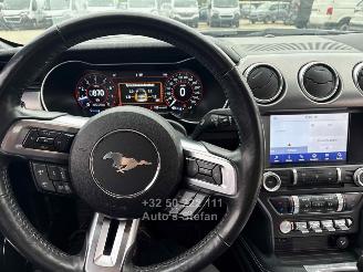 Ford Mustang CONVERTIBLE picture 9