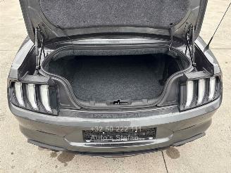 Ford Mustang CONVERTIBLE picture 27
