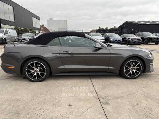 Ford Mustang CONVERTIBLE picture 17