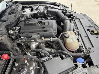 Ford Mustang CONVERTIBLE picture 23