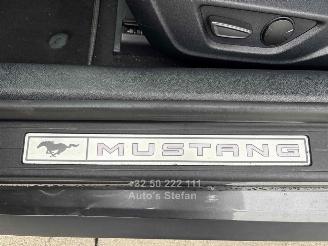 Ford Mustang CONVERTIBLE picture 15