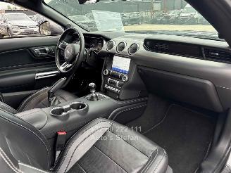 Ford Mustang CONVERTIBLE picture 11