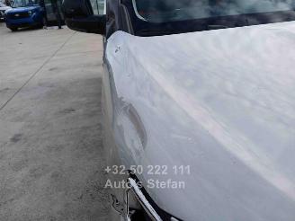 Citroën Berlingo E- SHINE XTR picture 33