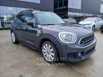  Mini Cooper SE COUNTRYMAN 4ALL 2019/12