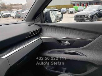 Peugeot 3008 3008 ACTIVE picture 12