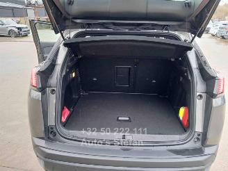 Peugeot 3008 3008 ACTIVE picture 21