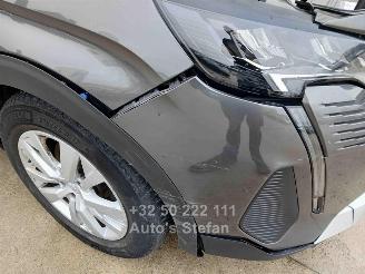 Peugeot 3008 3008 ACTIVE picture 18