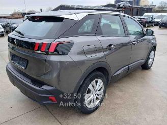 Peugeot 3008 3008 ACTIVE picture 6