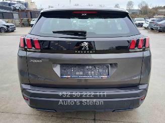 Peugeot 3008 3008 ACTIVE picture 5