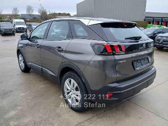Peugeot 3008 3008 ACTIVE picture 4