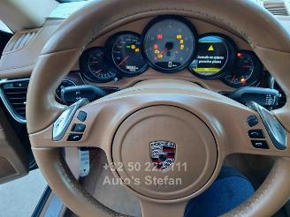 Porsche Panamera 4S picture 11