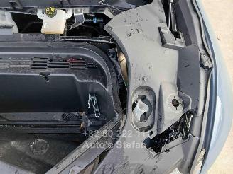 Ford Mustang MACH-E PREMIUM picture 13