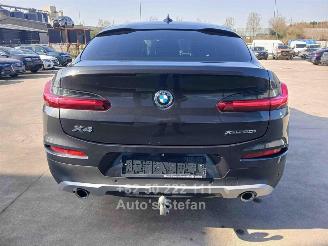 BMW X4 XDRIVE20I picture 5
