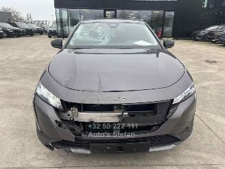 Peugeot 308 ALLURE picture 22