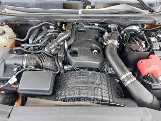 Ford Ranger WILDTRAK picture 29