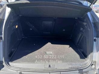 Peugeot 3008  picture 18