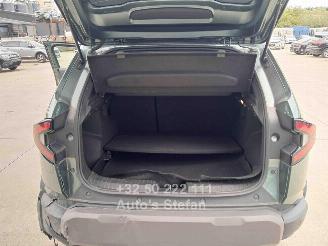 Dacia Duster JOURNEY picture 26