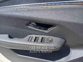 Renault Scenic E-TECH picture 19