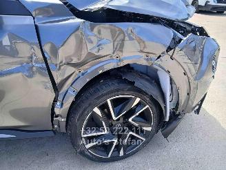 Nissan Juke BUSINESS ACCESS picture 33