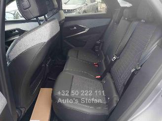 Peugeot 3008  picture 16