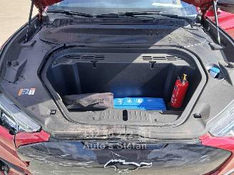 Ford Mustang MACH-E  600PK picture 31