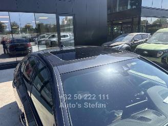 BMW 5-serie E IPERFORMANCE picture 13
