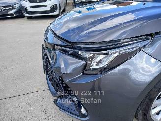 Toyota Corolla  picture 32