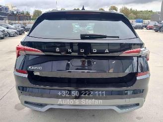 Skoda Kamiq AMBITION picture 2