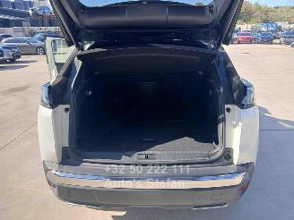 Peugeot 3008 GT picture 13