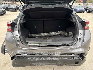 Nissan Juke BUSINESS ACCESS picture 32