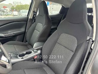 Nissan Juke BUSINESS ACCESS picture 31