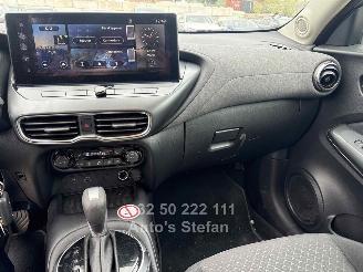 Nissan Juke BUSINESS ACCESS picture 17