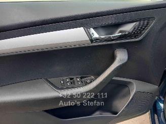 Skoda Karoq AMBITION picture 12