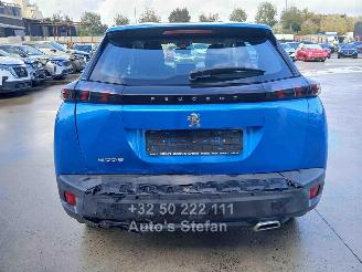 Peugeot 2008 ACTIVE picture 5