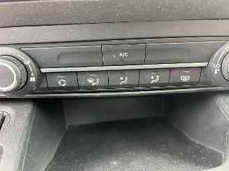 Citroën Berlingo 5-PERSOON -- PANODACH picture 18