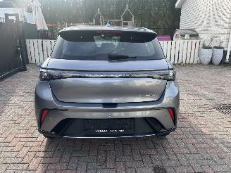 damaged passenger cars BYD Dolphin ELEKTRO LEDER-CAMERA-KLIMATRONIK 2024/7