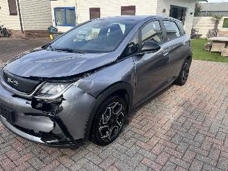 BYD Dolphin ELEKTRO LEDER-CAMERA-KLIMATRONIK picture 10