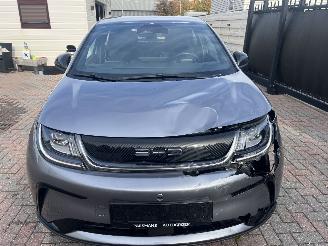 BYD Dolphin BEV 65kWh Design picture 7