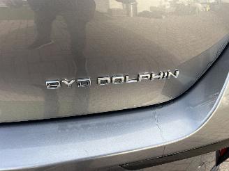 BYD Dolphin BEV 65kWh Design picture 2