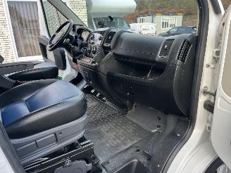 Peugeot Boxer THEAULT PROTEO  PFERDE picture 9