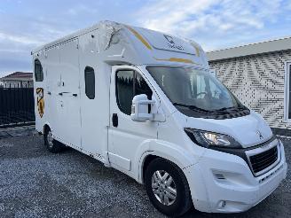 Peugeot Boxer THEAULT PROTEO  PFERDE picture 2