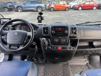 Peugeot Boxer THEAULT PROTEO  PFERDE picture 12