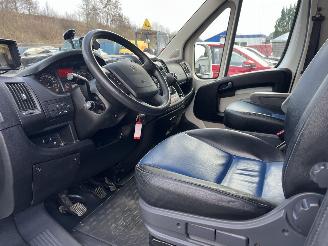 Peugeot Boxer THEAULT PROTEO  PFERDE picture 8