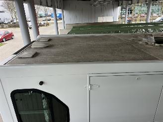 Peugeot Boxer THEAULT PROTEO  PFERDE picture 23