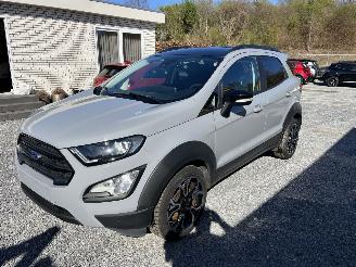 Ford EcoSport Active Navi,Winterpaket,Kamera picture 2