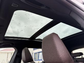 BMW X1 PLUG-IN 2,5 E X-DRIVE M-PAKKET picture 24