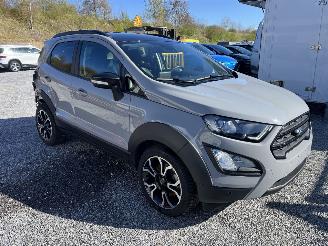 Ford EcoSport ACTIVE -LEDER-NAVI-KLIMATRONIK picture 9