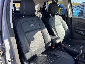 Ford EcoSport ACTIVE -LEDER-NAVI-KLIMATRONIK picture 13