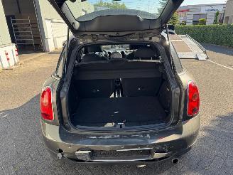 Mini Countryman 1.6 Panoramadak picture 9