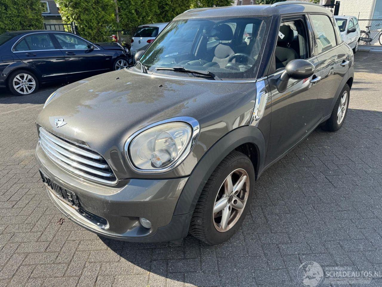 Mini Countryman 1.6 Panoramadak